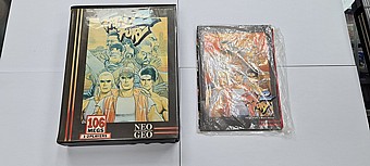 fatal fury  2