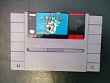 super mario world